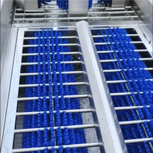Durchlauf-Stiefelwaschanlage mit Desinfektionsbecken image 4