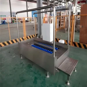 Channel-Type Boot Sole Washing Machine image 5
